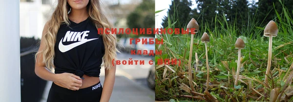 хмурый Нефтегорск