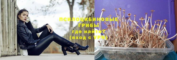 амф Абинск